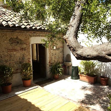 Vila L'Albero Di Giuggiole Cosenza Exteriér fotografie